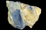 Vibrant Blue Kyanite Crystals In Quartz - Brazil #118851-1
